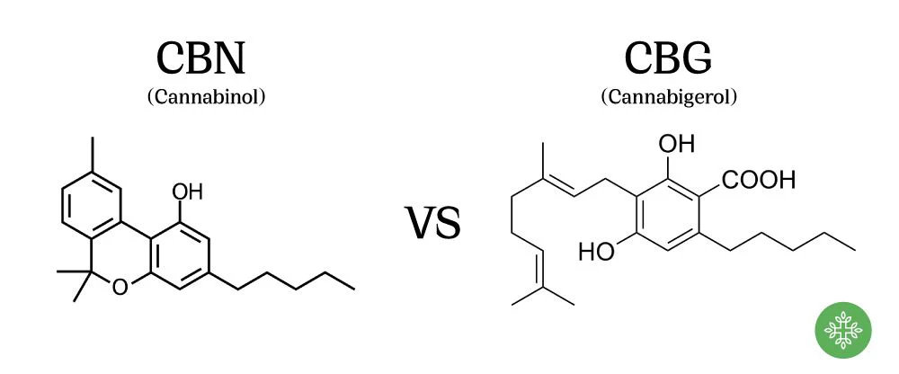 CBN vs CBD: Sleep Support, Anxiety Relief, and More