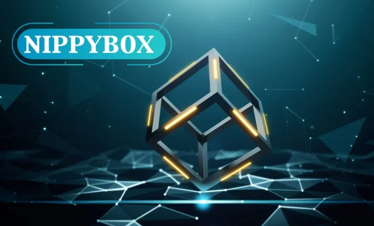 Nippybox: Simplifying Digital Access and Storage Solutions